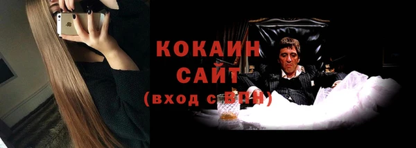 твердый Няндома